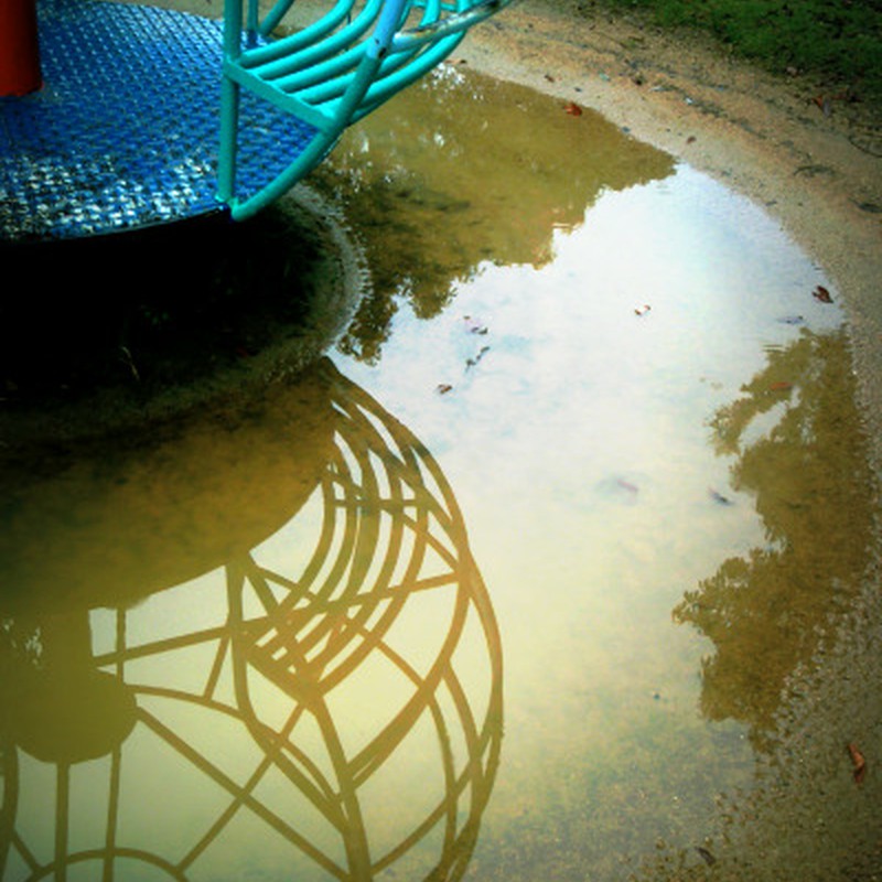 水たまりの景色