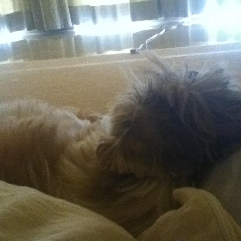 目覚めて一発目の視界