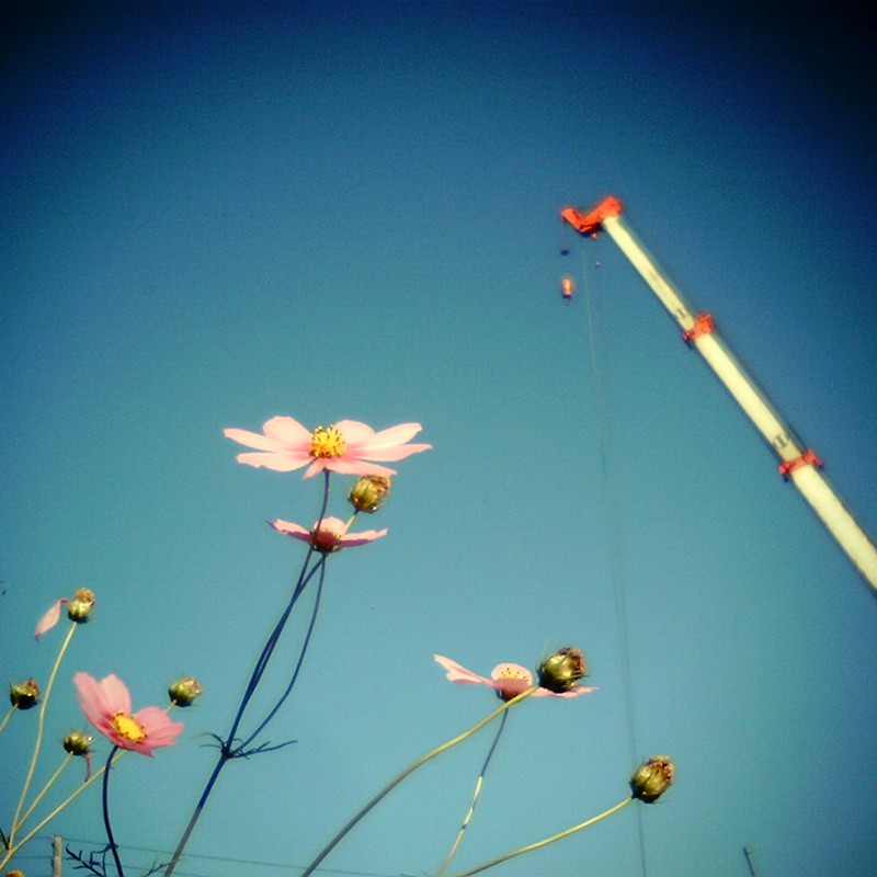 相容れないもの