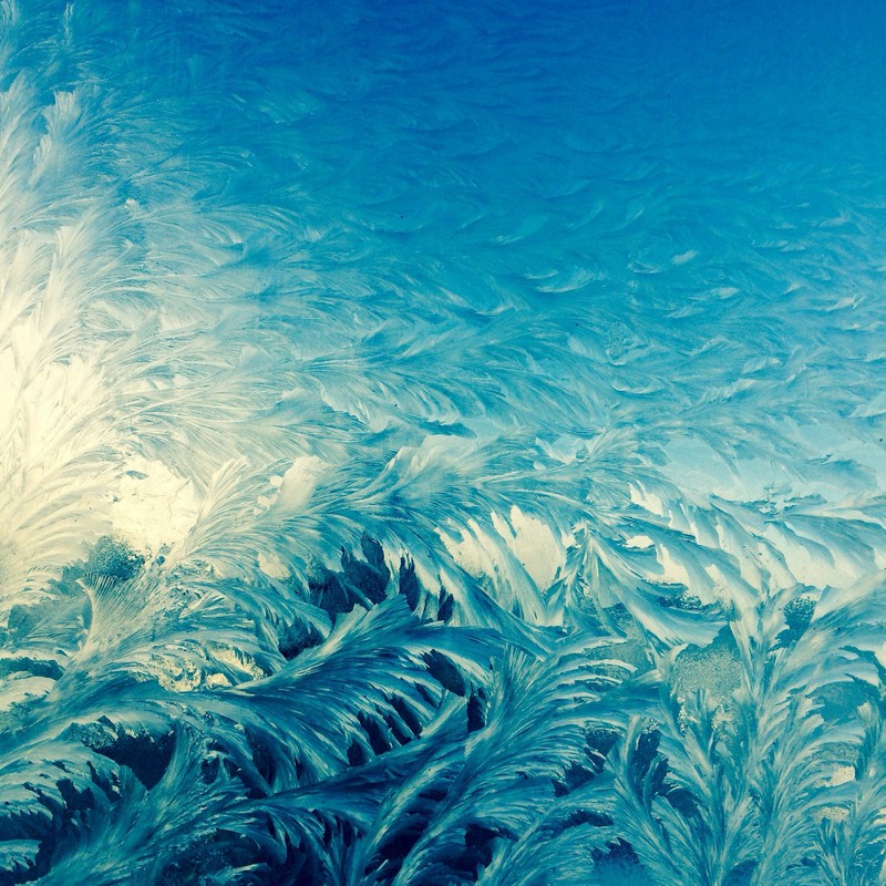凍りつく窓