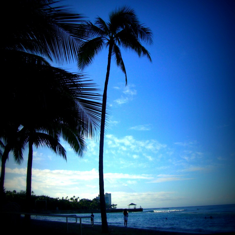 朝のビーチにてⅡ（in Hawaii）
