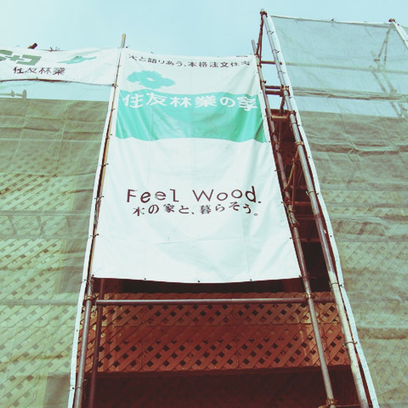 Feel Wood