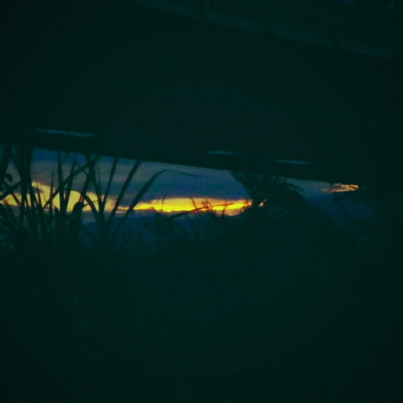 橋の下から見える夕焼け