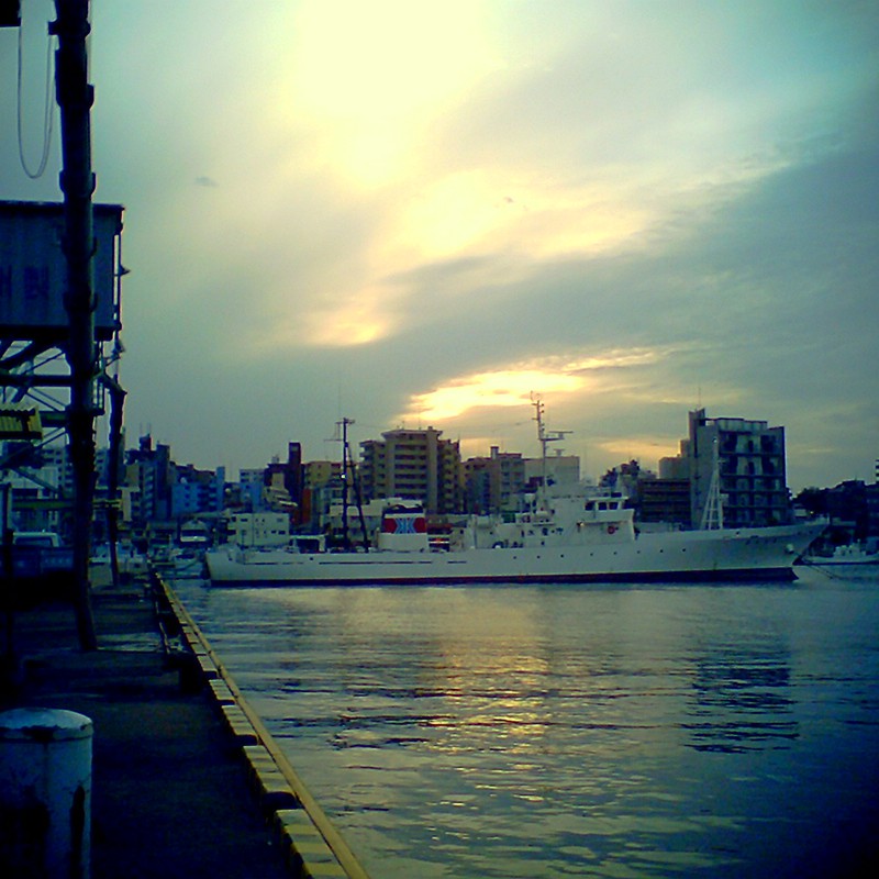 夕方の港　