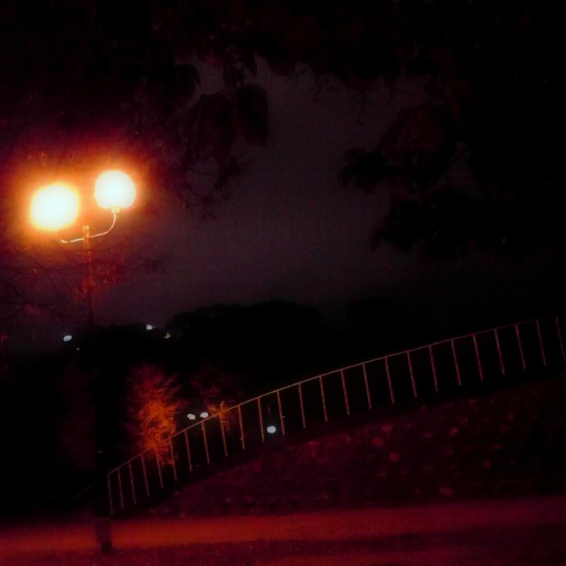 夜　公園　　灯り
