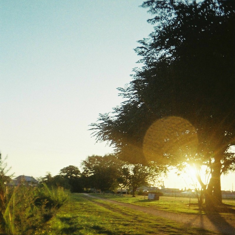 夕方のひかり。