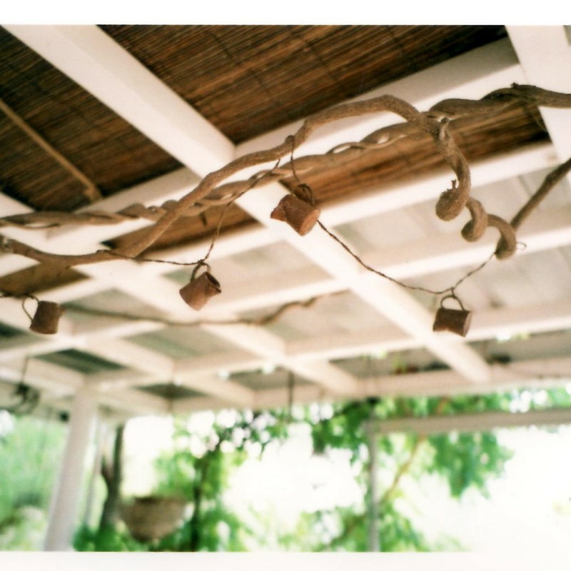 垂れ下がるじょうろ