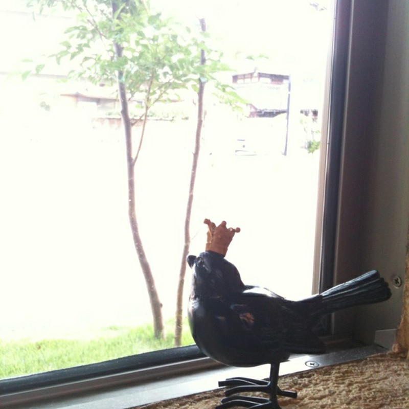 外の世界への憧れ+*