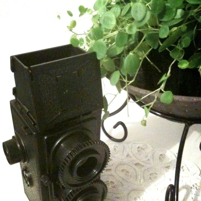 ニューフェイス+*