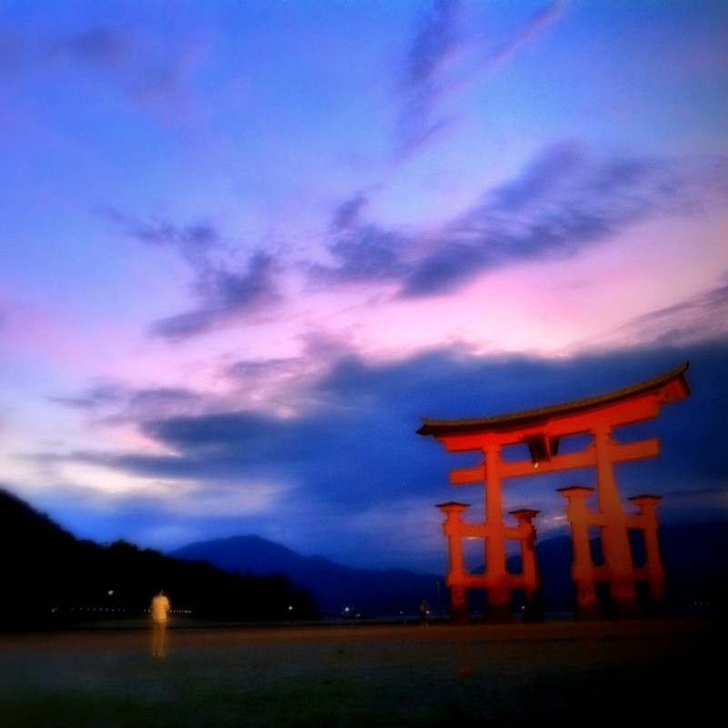 厳島神社大鳥居の夕暮れ