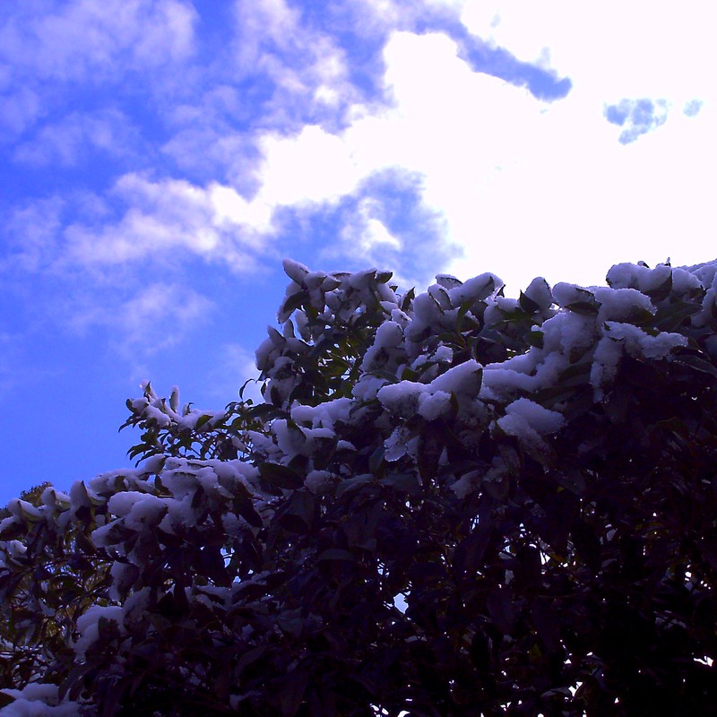 青空と雪。