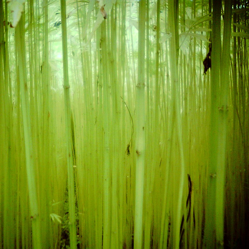 スウィートタイム