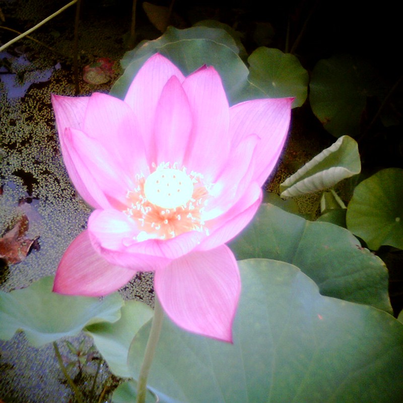 スウィートタイム 2