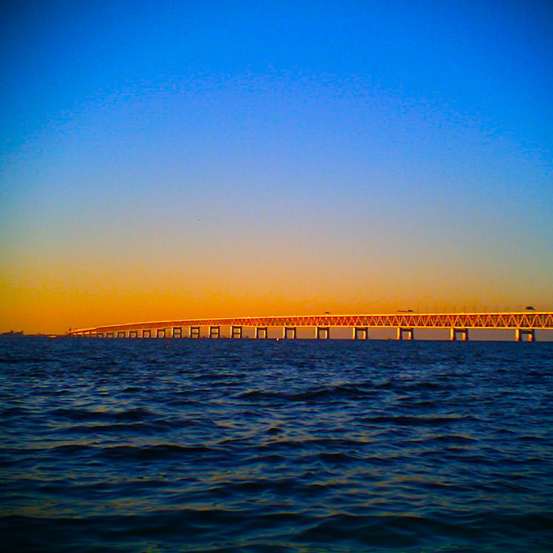 れんらくきょう