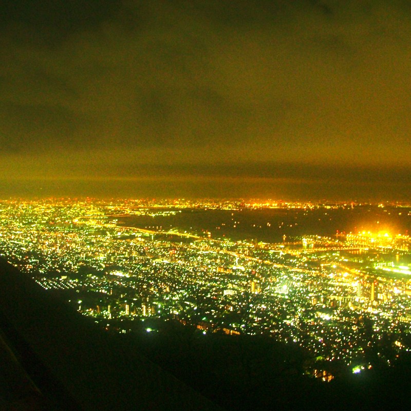 まやきくせいだい