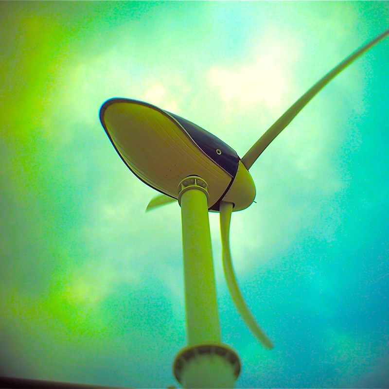 かぜながすくじら