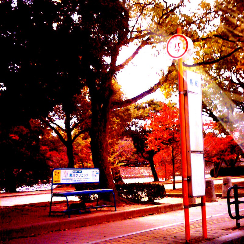 秋色のバス停