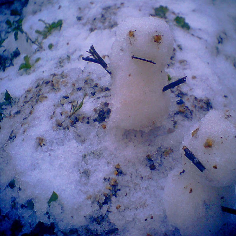 あけましておめでとう!