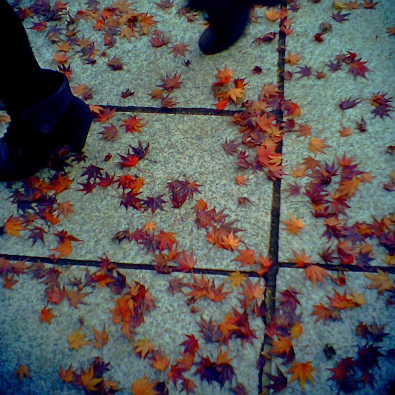 白い石畳に映える