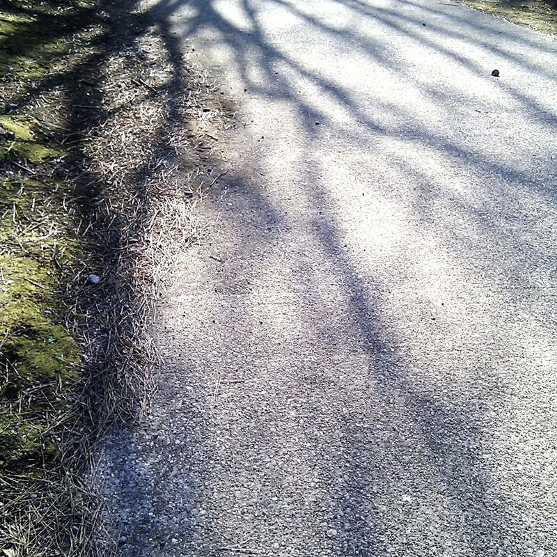樹影