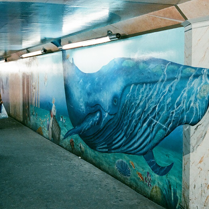 クジラの泳ぐトンネル