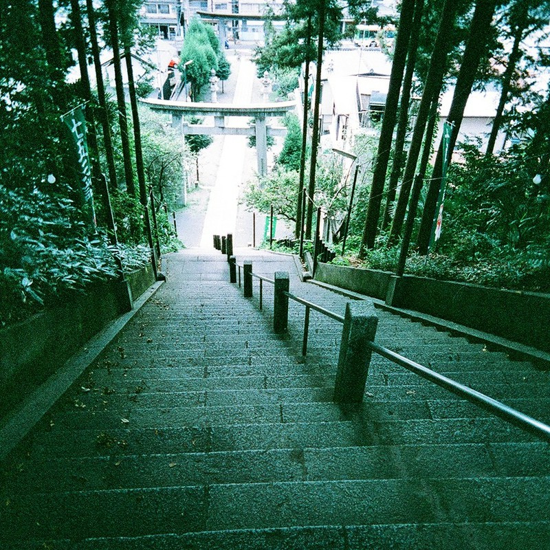 蝉時雨の降る階段