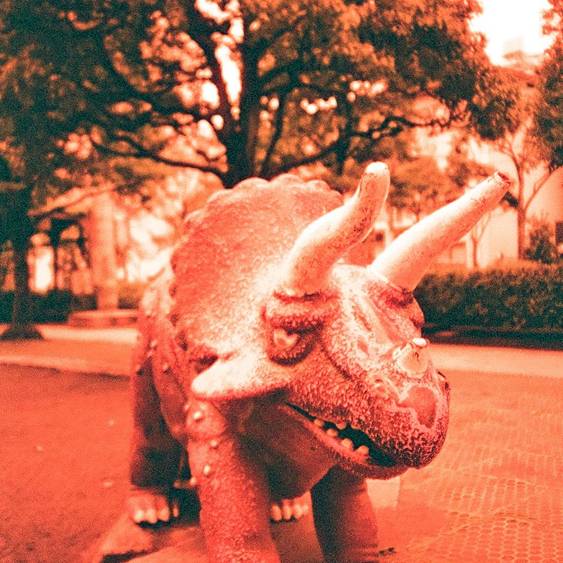 赤の恐竜