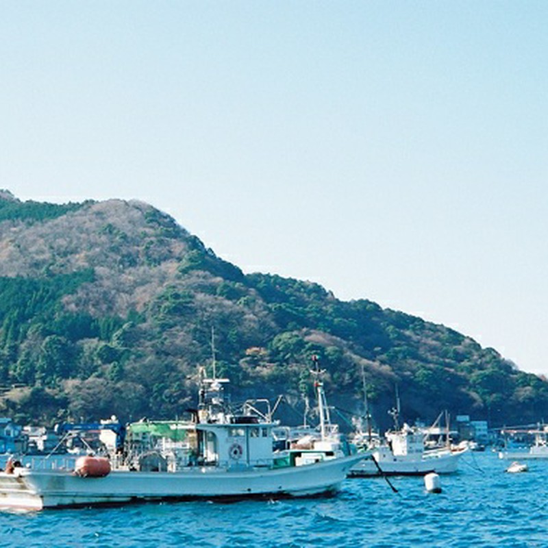 ふゆの海と、漁船