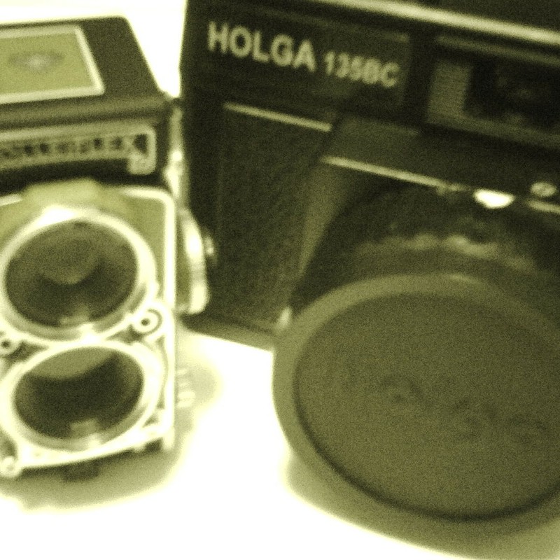 新しい仲間たち