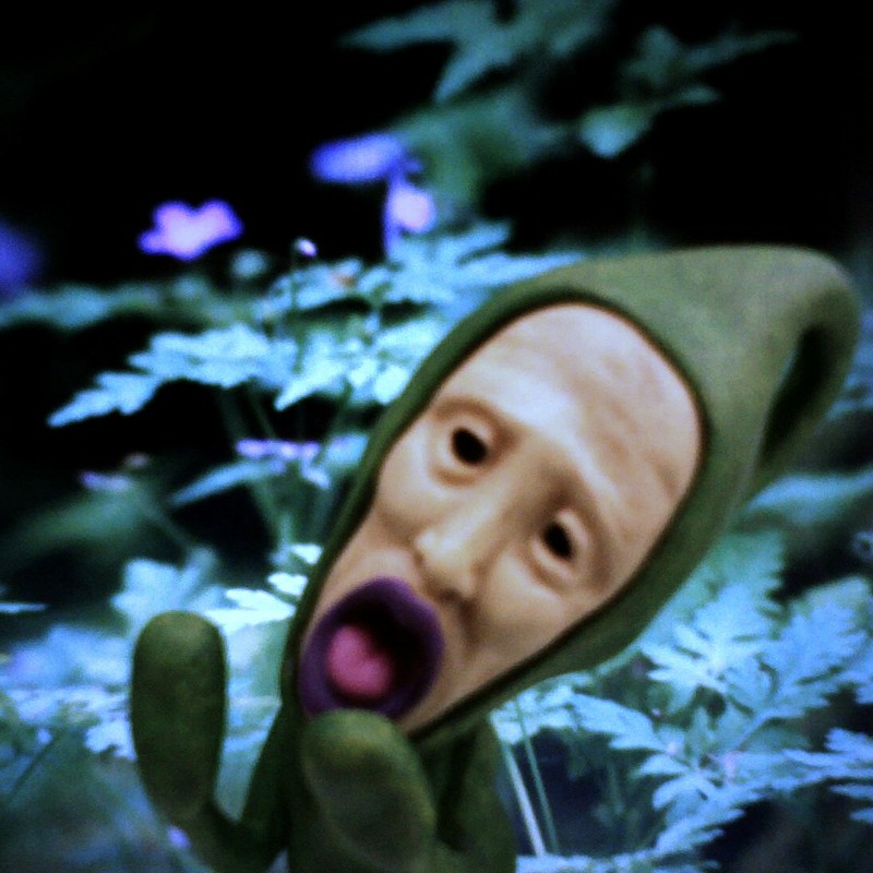 森を彷徨う小人