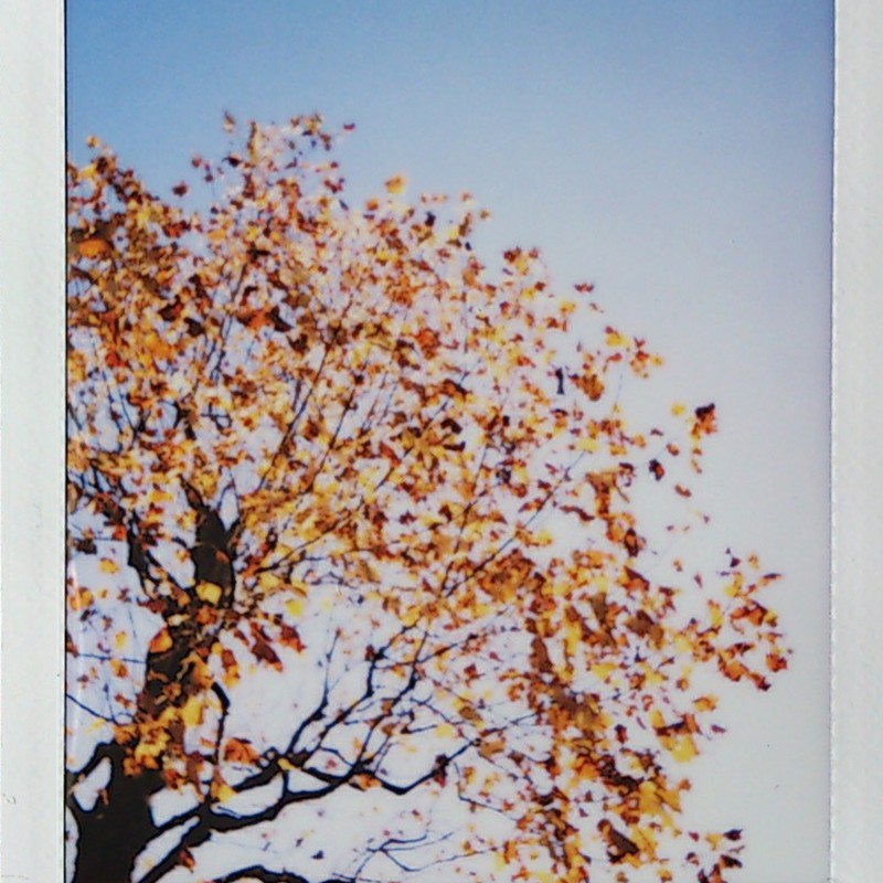 もうすこしだけ