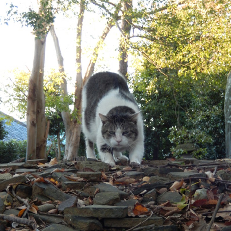 じゃ、行くとするか