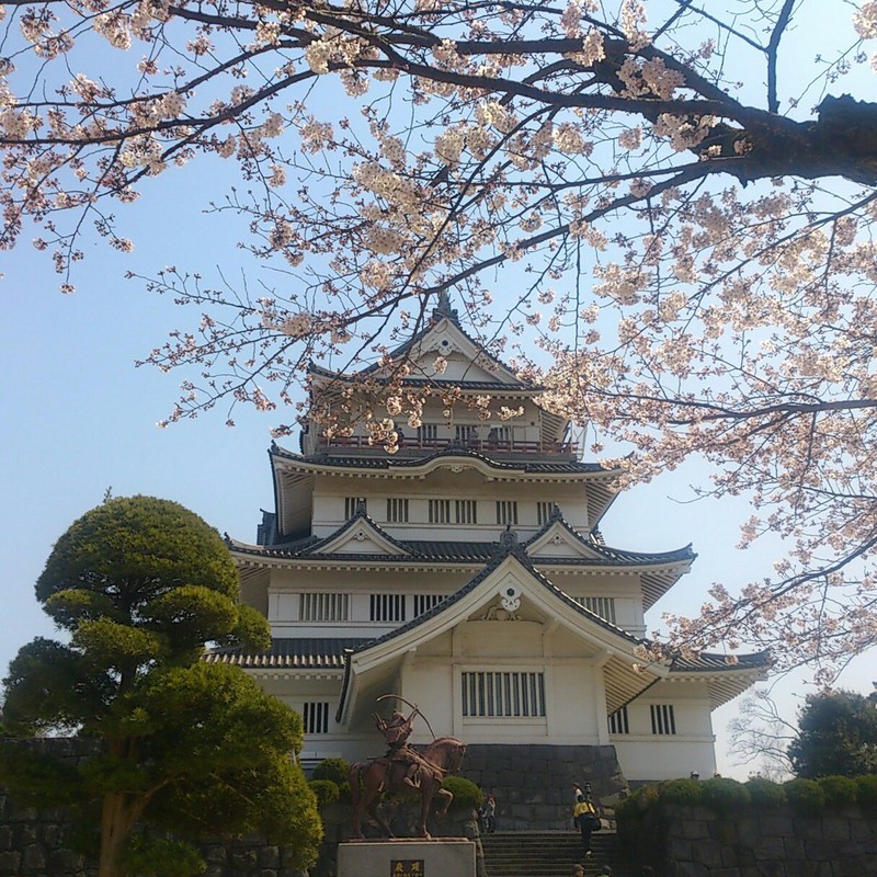 桜と城と