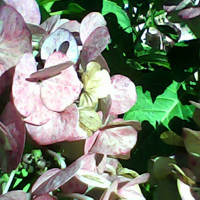 季節を越えた色