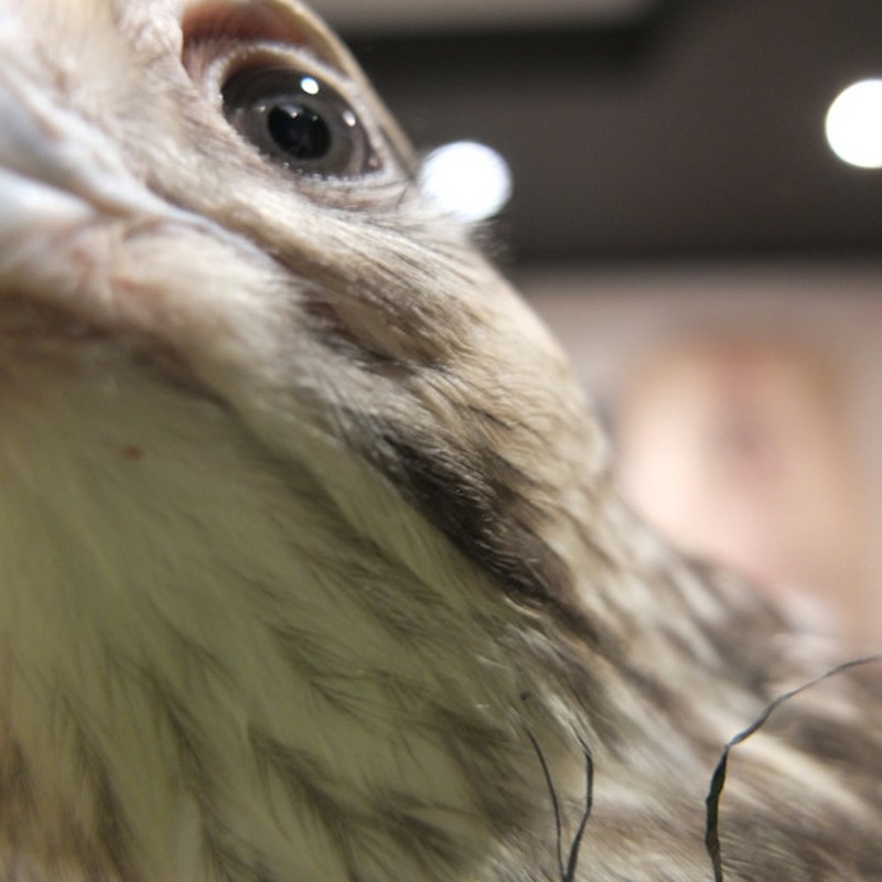 食べちゃダメ~!!!