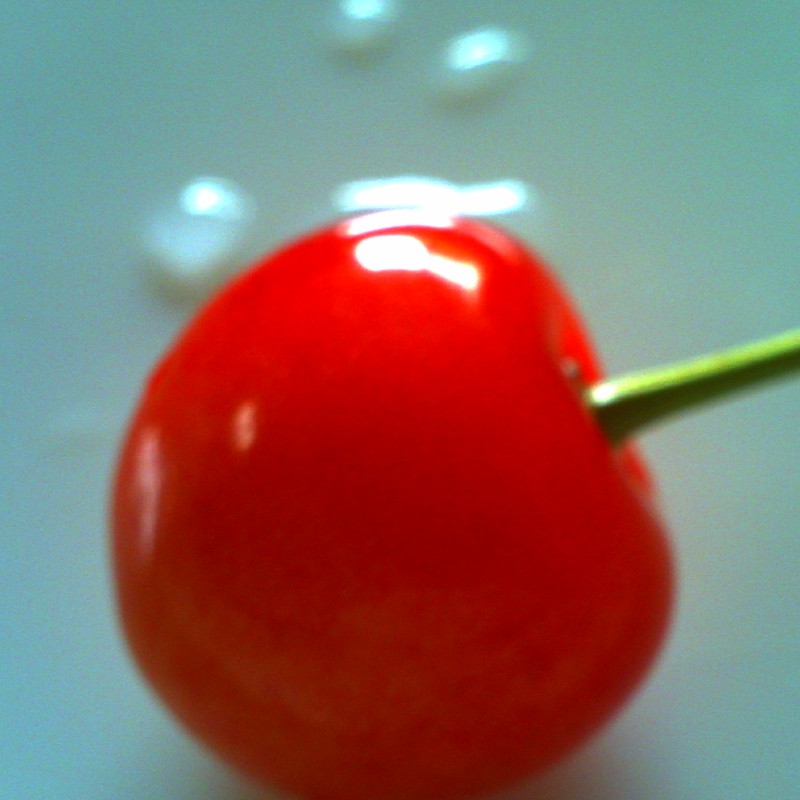 さくらんぼ　　cherry