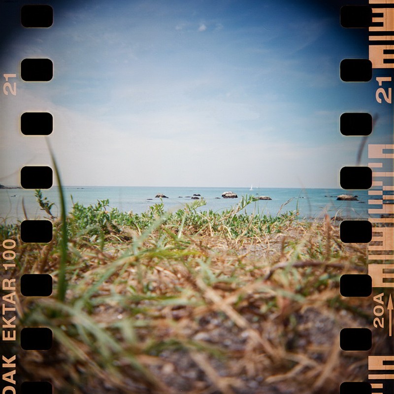 海の見える小高にて