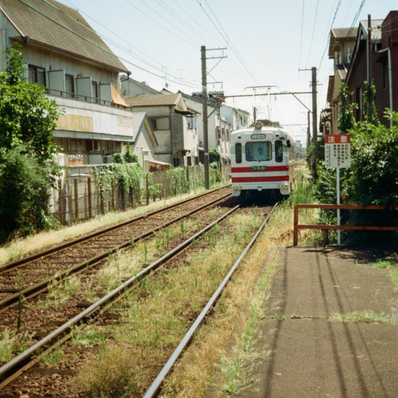 夏草電車