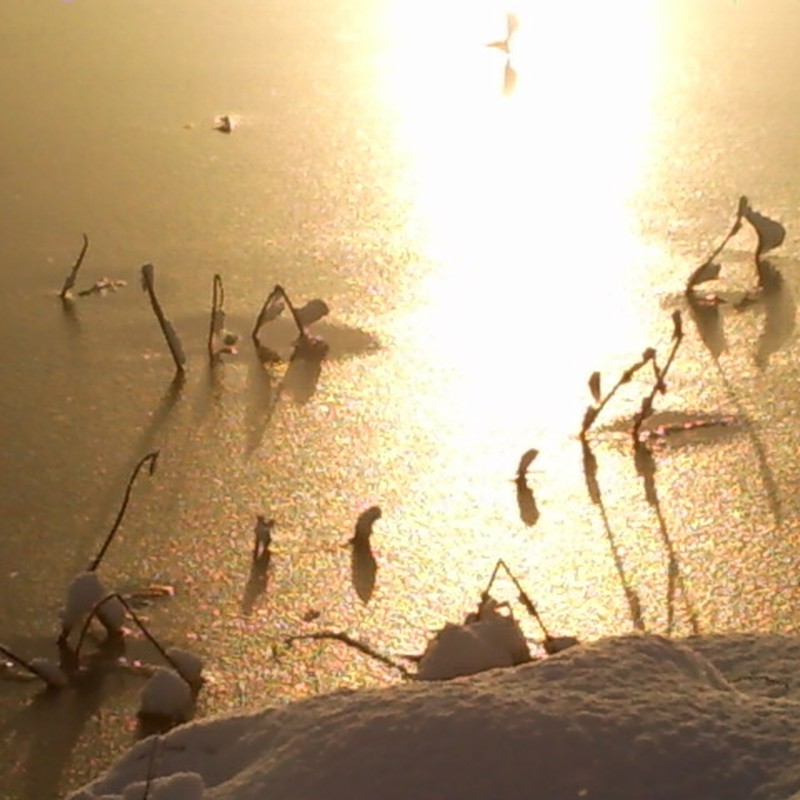 sun  light on the ice