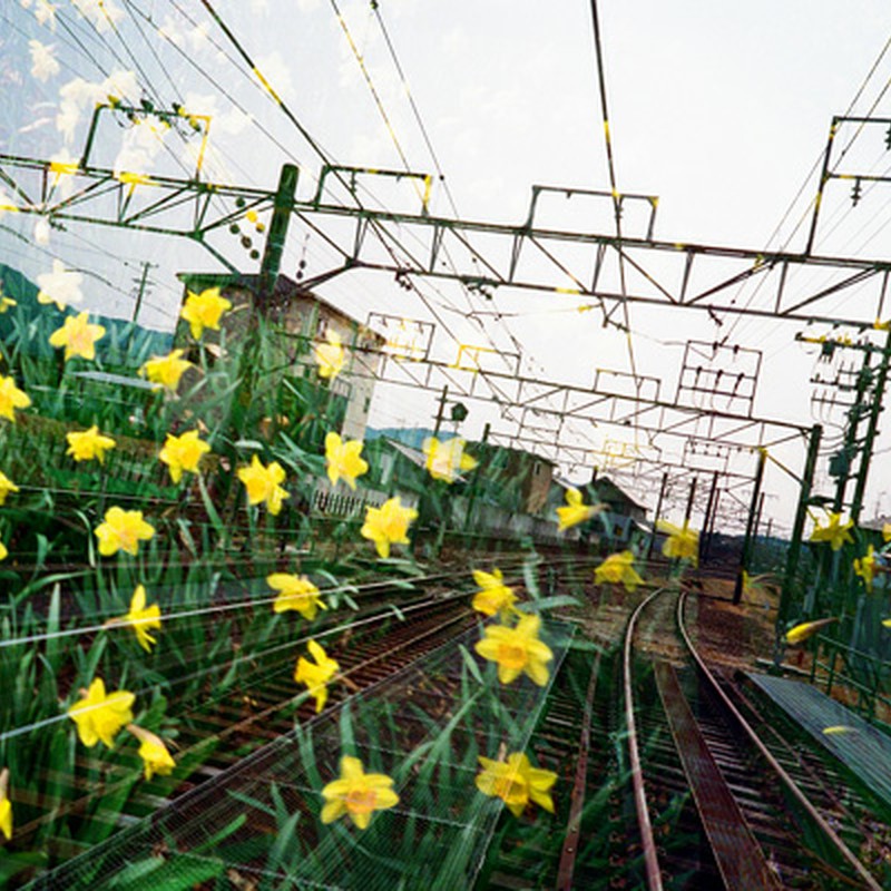 flowery railway