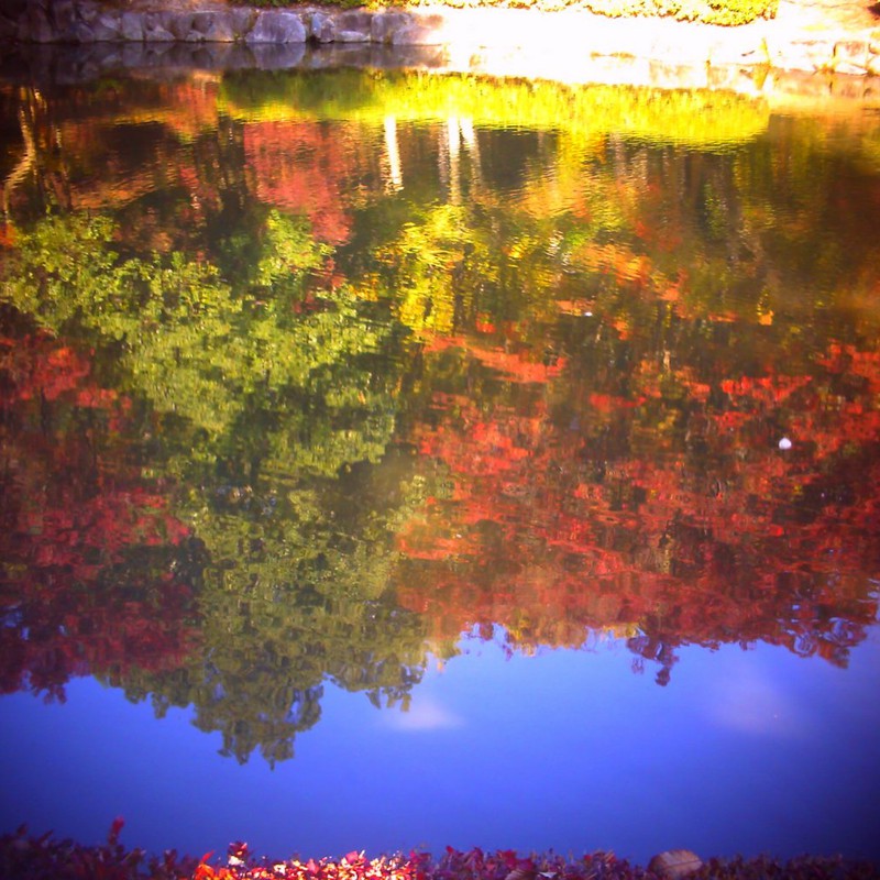 水面に写る紅葉