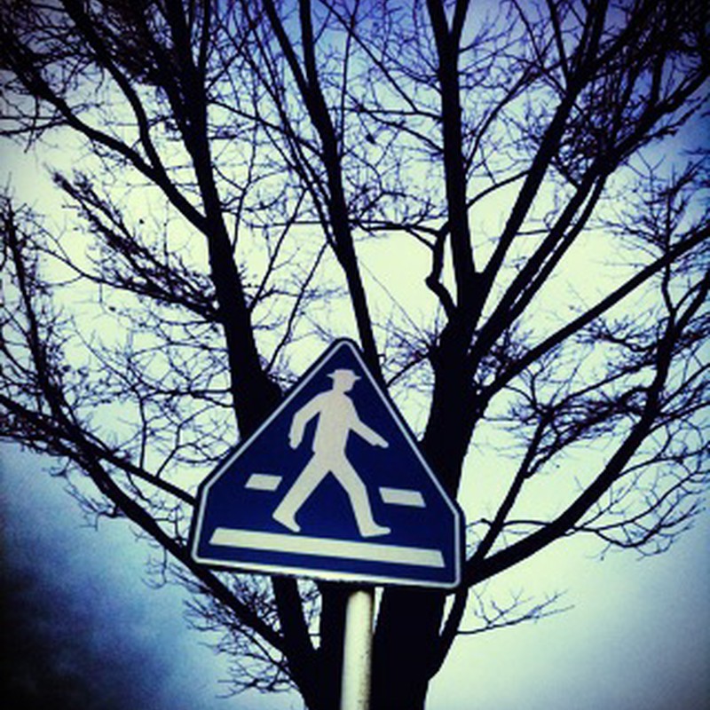木と標識