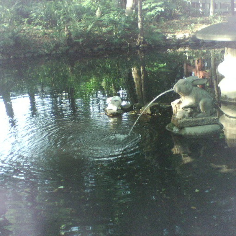 うさぎの池。