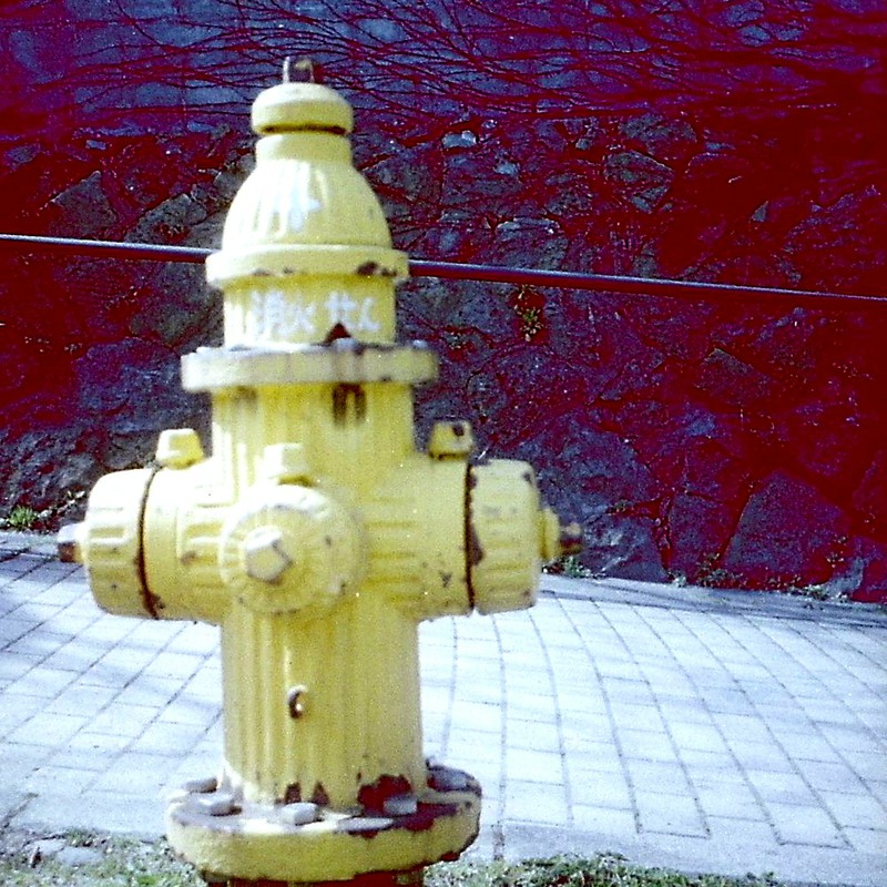 黄色の消火栓