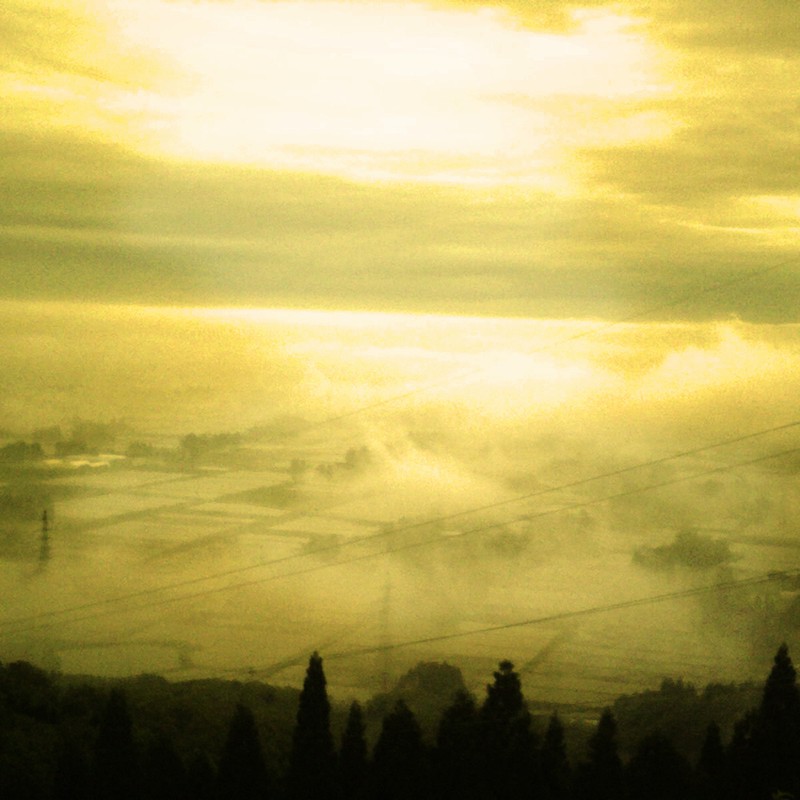 金色の霧