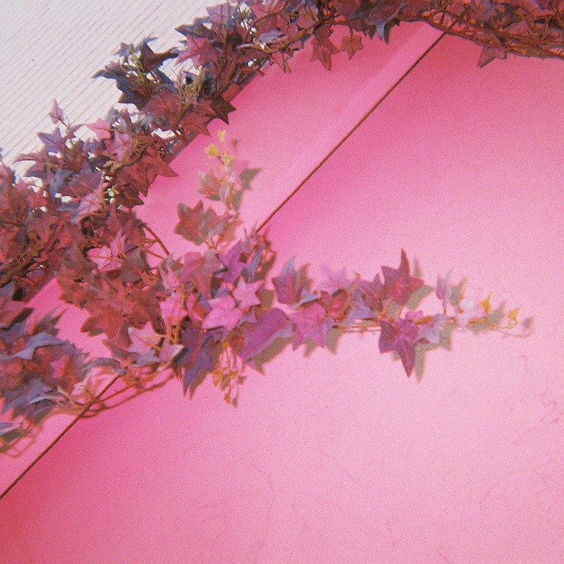 レッドフラッシュ(葉っぱ編)