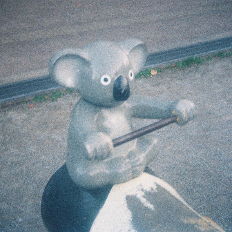 コアラ「乗ってくかい?」