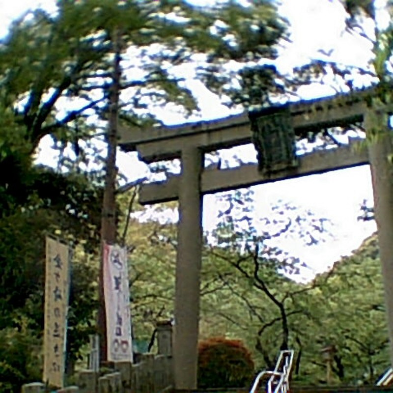 吸い込まれてる?