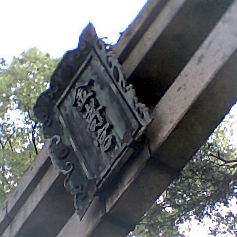 入りきらない…