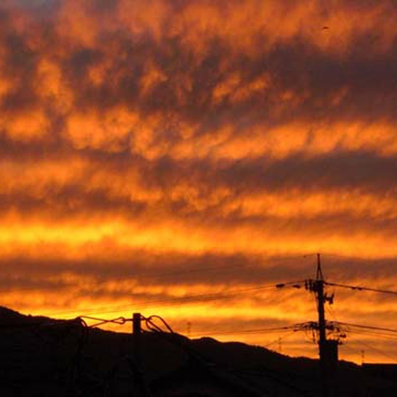 夕焼け小焼け~?